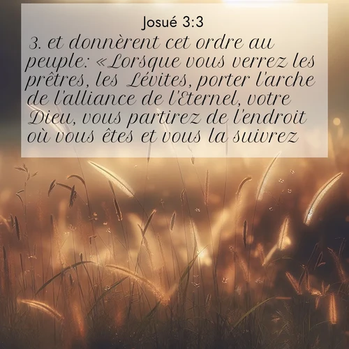 Segond21 Josué  ; image nature: image avec le verset biblique :et donnèrent cet ordre au peuple: «Lorsque vous verrez les prêtres, les Lévites, porter l&#039;arche de l&#039;alliance de l&#039;Eternel, votre Dieu, vous partirez de l&#039;endroit où vous êtes et vous la suivrez. ;  ; 3:3