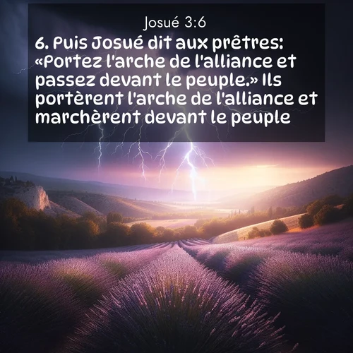Segond21 Josué  ; image nature: image avec le verset biblique :Puis Josué dit aux prêtres: «Portez l&#039;arche de l&#039;alliance et passez devant le peuple.» Ils portèrent l&#039;arche de l&#039;alliance et marchèrent devant le peuple. ;  ; 3:6