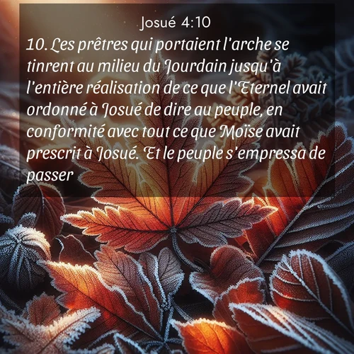 Segond21 Josué  ; image nature: image avec le verset biblique :Les prêtres qui portaient l&#039;arche se tinrent au milieu du Jourdain jusqu&#039;à l&#039;entière réalisation de ce que l&#039;Eternel avait ordonné à Josué de dire au peuple, en conformité avec tout ce que Moïse avait prescrit à Josué. Et le peuple s&#039;empressa de passer. ;  ; 4:10