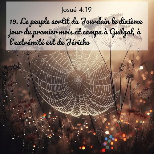 Segond21 Josué  ; image nature: image avec le verset biblique :Le peuple sortit du Jourdain le dixième jour du premier mois et campa à Guilgal, à l&#039;extrémité est de Jéricho. ;  ; 4:19