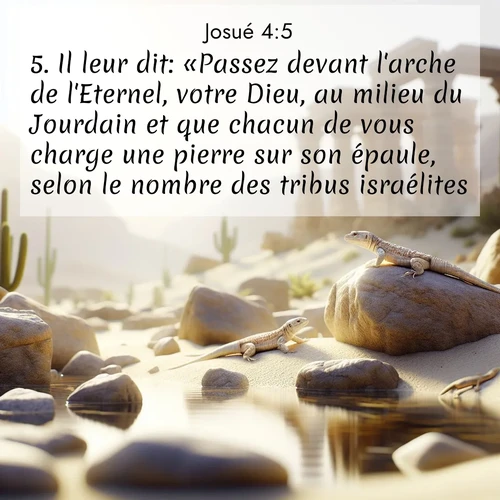 Segond21 Josué  ; image nature: image avec le verset biblique :Il leur dit: «Passez devant l&#039;arche de l&#039;Eternel, votre Dieu, au milieu du Jourdain et que chacun de vous charge une pierre sur son épaule, selon le nombre des tribus israélites, ;  ; 4:5