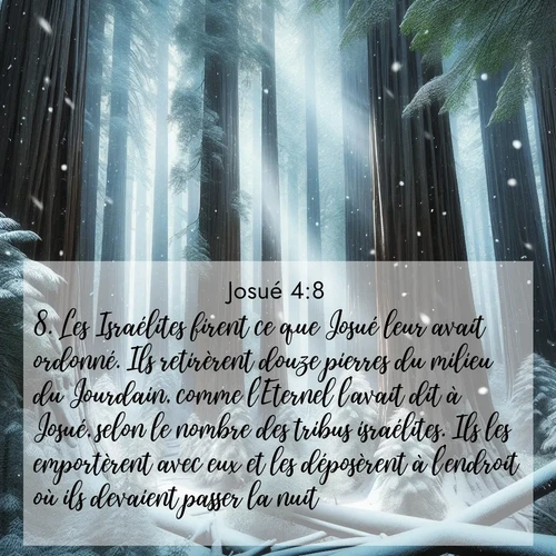 Segond21 Josué  ; image nature: image avec le verset biblique :Les Israélites firent ce que Josué leur avait ordonné. Ils retirèrent douze pierres du milieu du Jourdain, comme l&#039;Eternel l&#039;avait dit à Josué, selon le nombre des tribus israélites. Ils les emportèrent avec eux et les déposèrent à l&#039;endroit où ils devaient passer la nuit. ;  ; 4:8