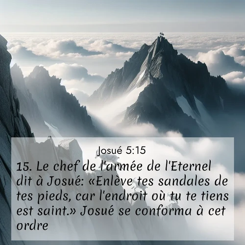 Segond21 Josué  ; image nature: image avec le verset biblique :Le chef de l&#039;armée de l&#039;Eternel dit à Josué: «Enlève tes sandales de tes pieds, car l&#039;endroit où tu te tiens est saint.» Josué se conforma à cet ordre. ;  ; 5:15