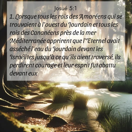 Segond21 Josué  ; image nature: image avec le verset biblique :Lorsque tous les rois des Amoréens qui se trouvaient à l&#039;ouest du Jourdain et tous les rois des Cananéens près de la mer Méditerranée apprirent que l&#039;Eternel avait asséché l&#039;eau du Jourdain devant les Israélites jusqu&#039;à ce qu&#039;ils aient traversé, ils perdirent courage et leur esprit fut abattu devant eux. ;  ; 5:1