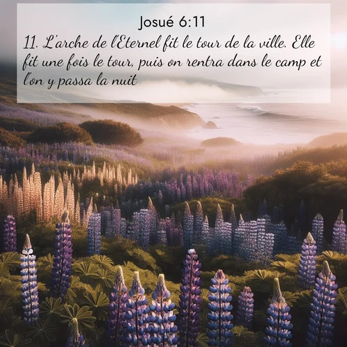 Segond21 Josué  ; image nature: image avec le verset biblique :L&#039;arche de l&#039;Eternel fit le tour de la ville. Elle fit une fois le tour, puis on rentra dans le camp et l&#039;on y passa la nuit. ;  ; 6:11