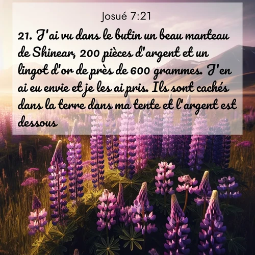Segond21 Josué  ; image nature: image avec le verset biblique :J&#039;ai vu dans le butin un beau manteau de Shinear, 200 pièces d&#039;argent et un lingot d&#039;or de près de 600 grammes. J&#039;en ai eu envie et je les ai pris. Ils sont cachés dans la terre dans ma tente et l&#039;argent est dessous.» ;  ; 7:21