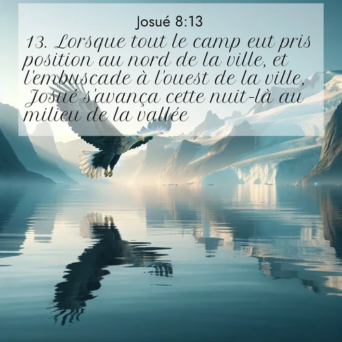 Segond21 Josué  ; image nature: image avec le verset biblique :Lorsque tout le camp eut pris position au nord de la ville, et l&#039;embuscade à l&#039;ouest de la ville, Josué s&#039;avança cette nuit-là au milieu de la vallée. ;  ; 8:13