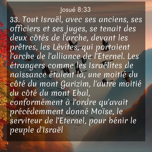 Segond21 Josué  ; image nature: image avec le verset biblique :Tout Israël, avec ses anciens, ses officiers et ses juges, se tenait des deux côtés de l&#039;arche, devant les prêtres, les Lévites, qui portaient l&#039;arche de l&#039;alliance de l&#039;Eternel. Les étrangers comme les Israélites de naissance étaient là, une moitié du côté du mont Garizim, l&#039;autre moitié du côté du mont Ebal, conformément à l&#039;ordre qu&#039;avait précédemment donné Moïse, le serviteur de l&#039;Eternel, pour bénir le peuple d&#039;Israël. ;  ; 8:33