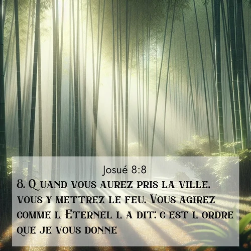 Segond21 Josué  ; image nature: image avec le verset biblique :Quand vous aurez pris la ville, vous y mettrez le feu. Vous agirez comme l&#039;Eternel l&#039;a dit: c&#039;est l&#039;ordre que je vous donne.» ;  ; 8:8