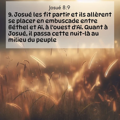 Segond21 Josué  ; image nature: image avec le verset biblique :Josué les fit partir et ils allèrent se placer en embuscade entre Béthel et Aï, à l&#039;ouest d&#039;Aï. Quant à Josué, il passa cette nuit-là au milieu du peuple. ;  ; 8:9