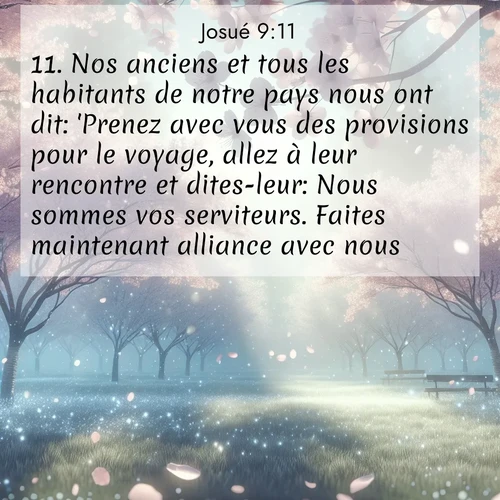 Segond21 Josué  ; image nature: image avec le verset biblique :Nos anciens et tous les habitants de notre pays nous ont dit: &#039;Prenez avec vous des provisions pour le voyage, allez à leur rencontre et dites-leur: Nous sommes vos serviteurs. Faites maintenant alliance avec nous.&#039; ;  ; 9:11