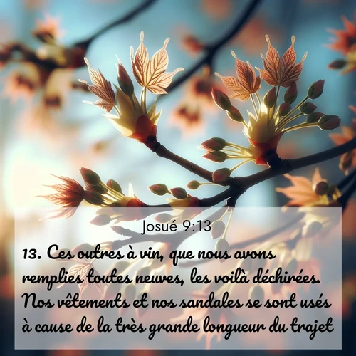 Segond21 Josué  ; image nature: image avec le verset biblique :Ces outres à vin, que nous avons remplies toutes neuves, les voilà déchirées. Nos vêtements et nos sandales se sont usés à cause de la très grande longueur du trajet.» ;  ; 9:13