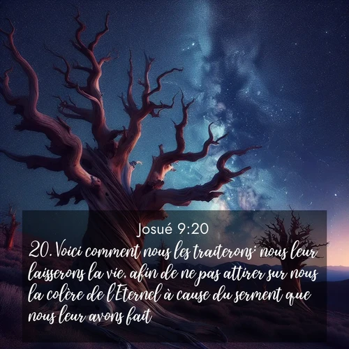 Segond21 Josué  ; image nature: image avec le verset biblique :Voici comment nous les traiterons: nous leur laisserons la vie, afin de ne pas attirer sur nous la colère de l&#039;Eternel à cause du serment que nous leur avons fait.» ;  ; 9:20