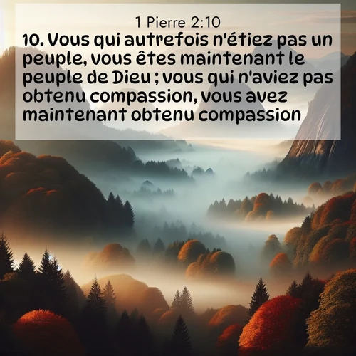 Segond21 1 Pierre  ; image nature: image avec le verset biblique :Vous qui autrefois n&#039;étiez pas un peuple, vous êtes maintenant le peuple de Dieu ; vous qui n&#039;aviez pas obtenu compassion, vous avez maintenant obtenu compassion. ;  ; 2:10
