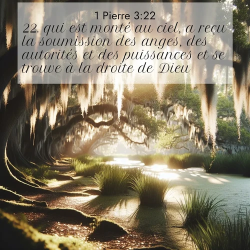image nature avec verset biblique de la Bible
