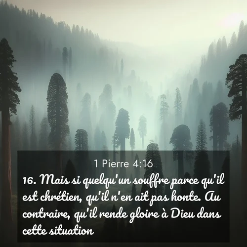 Segond21 1 Pierre  ; image nature: image avec le verset biblique :Mais si quelqu&#039;un souffre parce qu&#039;il est chrétien, qu&#039;il n&#039;en ait pas honte. Au contraire, qu&#039;il rende gloire à Dieu dans cette situation. ;  ; 4:16