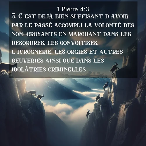 Segond21 1 Pierre  ; image nature: image avec le verset biblique :C&#039;est déjà bien suffisant d&#039;avoir par le passé accompli la volonté des non-croyants en marchant dans les désordres, les convoitises, l&#039;ivrognerie, les orgies et autres beuveries ainsi que dans les idolâtries criminelles. ;  ; 4:3