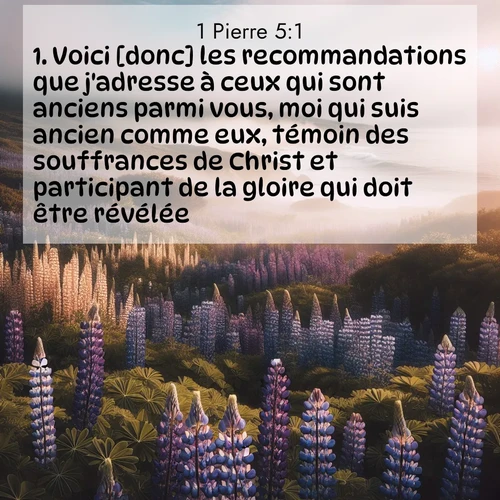 Segond21 1 Pierre  ; image nature: image avec le verset biblique :Voici [donc] les recommandations que j&#039;adresse à ceux qui sont anciens parmi vous, moi qui suis ancien comme eux, témoin des souffrances de Christ et participant de la gloire qui doit être révélée: ;  ; 5:1