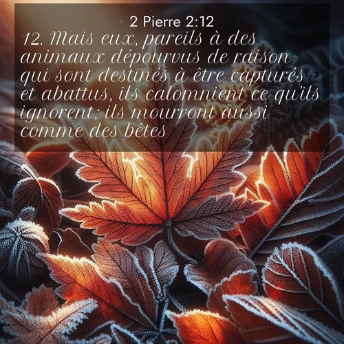 image nature avec verset biblique de la Bible