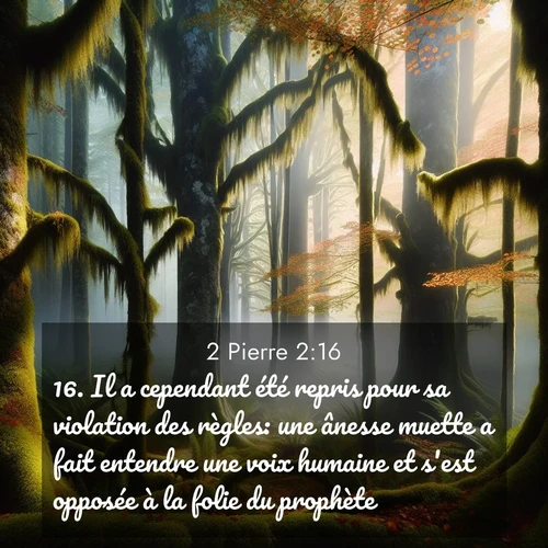 image nature avec verset biblique de la Bible