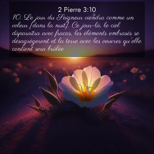 Segond21 2 Pierre  ; image nature: image avec le verset biblique :Le jour du Seigneur viendra comme un voleur [dans la nuit]. Ce jour-là, le ciel disparaîtra avec fracas, les éléments embrasés se désagrégeront et la terre avec les oeuvres qu&#039;elle contient sera brûlée. ;  ; 3:10