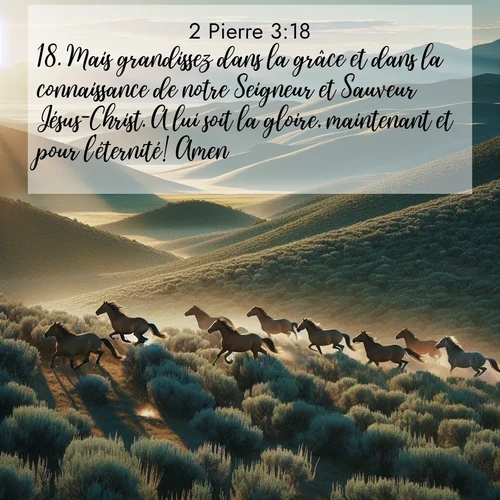 Segond21 2 Pierre  ; image nature: image avec le verset biblique :Mais grandissez dans la grâce et dans la connaissance de notre Seigneur et Sauveur Jésus-Christ. A lui soit la gloire, maintenant et pour l&#039;éternité! Amen! ;  ; 3:18