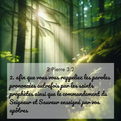 Segond21 2 Pierre  ; image nature: image avec le verset biblique :afin que vous vous rappeliez les paroles prononcées autrefois par les saints prophètes ainsi que le commandement du Seigneur et Sauveur enseigné par vos apôtres. ;  ; 3:2