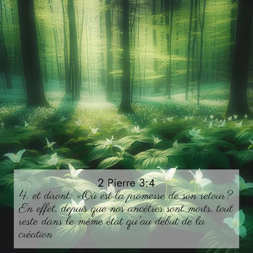 Segond21 2 Pierre  ; image nature: image avec le verset biblique :et diront: «Où est la promesse de son retour? En effet, depuis que nos ancêtres sont morts, tout reste dans le même état qu&#039;au début de la création.» ;  ; 3:4