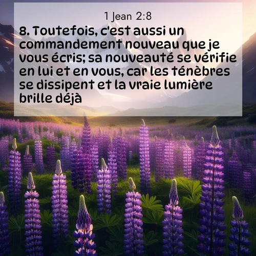 Segond21 1 Jean  ; image nature: image avec le verset biblique :Toutefois, c&#039;est aussi un commandement nouveau que je vous écris; sa nouveauté se vérifie en lui et en vous, car les ténèbres se dissipent et la vraie lumière brille déjà. ;  ; 2:8