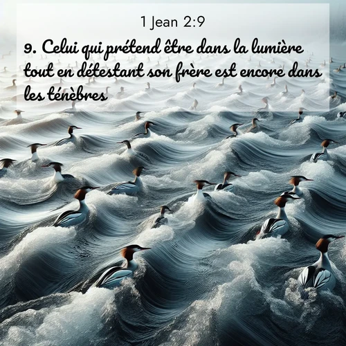 Segond21 1 Jean  ; image nature: image avec le verset biblique :Celui qui prétend être dans la lumière tout en détestant son frère est encore dans les ténèbres. ;  ; 2:9