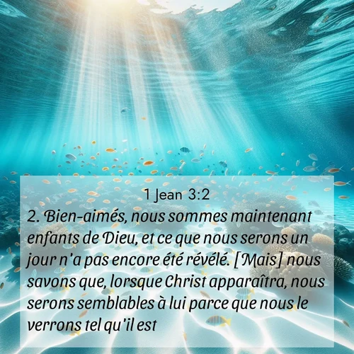 Segond21 1 Jean  ; image nature: image avec le verset biblique :Bien-aimés, nous sommes maintenant enfants de Dieu, et ce que nous serons un jour n&#039;a pas encore été révélé. [Mais] nous savons que, lorsque Christ apparaîtra, nous serons semblables à lui parce que nous le verrons tel qu&#039;il est. ;  ; 3:2