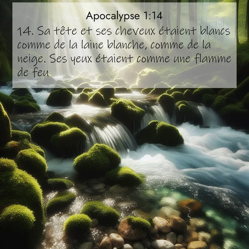 Segond21 Apocalypse  ; image nature: image avec le verset biblique :Sa tête et ses cheveux étaient blancs comme de la laine blanche, comme de la neige. Ses yeux étaient comme une flamme de feu, ;  ; 1:14