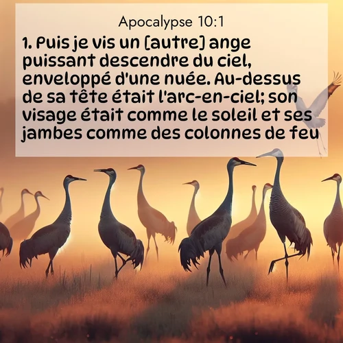 Segond21 Apocalypse  ; image nature: image avec le verset biblique :Puis je vis un [autre] ange puissant descendre du ciel, enveloppé d&#039;une nuée. Au-dessus de sa tête était l&#039;arc-en-ciel; son visage était comme le soleil et ses jambes comme des colonnes de feu. ;  ; 10:1