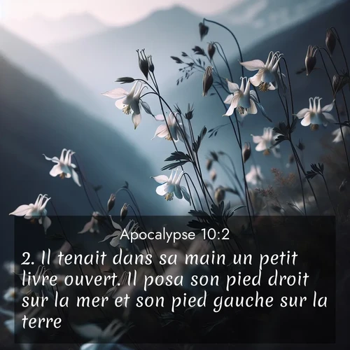 Segond21 Apocalypse  ; image nature: image avec le verset biblique :Il tenait dans sa main un petit livre ouvert. Il posa son pied droit sur la mer et son pied gauche sur la terre, ;  ; 10:2