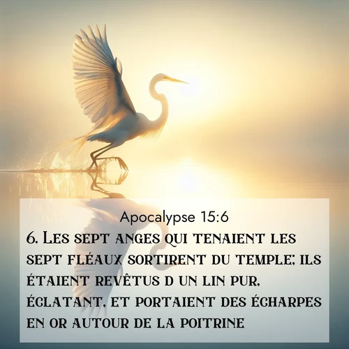 Segond21 Apocalypse  ; image nature: image avec le verset biblique :Les sept anges qui tenaient les sept fléaux sortirent du temple; ils étaient revêtus d&#039;un lin pur, éclatant, et portaient des écharpes en or autour de la poitrine. ;  ; 15:6
