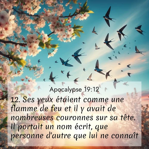 Segond21 Apocalypse  ; image nature: image avec le verset biblique :Ses yeux étaient comme une flamme de feu et il y avait de nombreuses couronnes sur sa tête. Il portait un nom écrit, que personne d&#039;autre que lui ne connaît. ;  ; 19:12