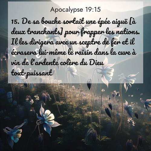 Segond21 Apocalypse  ; image nature: image avec le verset biblique :De sa bouche sortait une épée aiguë [à deux tranchants] pour frapper les nations. Il les dirigera avec un sceptre de fer et il écrasera lui-même le raisin dans la cuve à vin de l&#039;ardente colère du Dieu tout-puissant. ;  ; 19:15