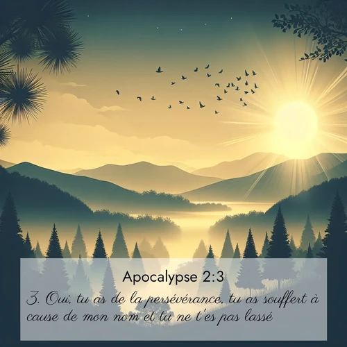 Segond21 Apocalypse  ; image nature: image avec le verset biblique :Oui, tu as de la persévérance, tu as souffert à cause de mon nom et tu ne t&#039;es pas lassé. ;  ; 2:3