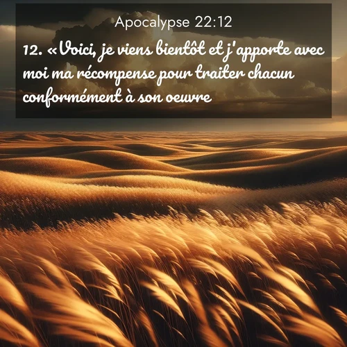 Segond21 Apocalypse  ; image nature: image avec le verset biblique :«Voici, je viens bientôt et j&#039;apporte avec moi ma récompense pour traiter chacun conformément à son oeuvre. ;  ; 22:12