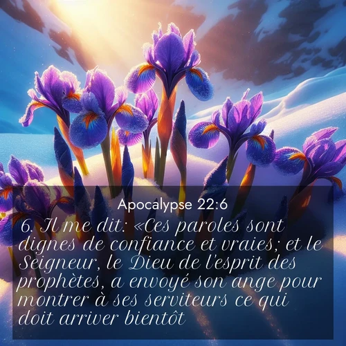Segond21 Apocalypse  ; image nature: image avec le verset biblique :Il me dit: «Ces paroles sont dignes de confiance et vraies; et le Seigneur, le Dieu de l&#039;esprit des prophètes, a envoyé son ange pour montrer à ses serviteurs ce qui doit arriver bientôt.» ;  ; 22:6
