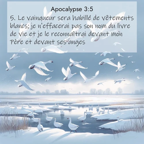 Segond21 Apocalypse  ; image nature: image avec le verset biblique :Le vainqueur sera habillé de vêtements blancs; je n&#039;effacerai pas son nom du livre de vie et je le reconnaîtrai devant mon Père et devant ses anges. ;  ; 3:5