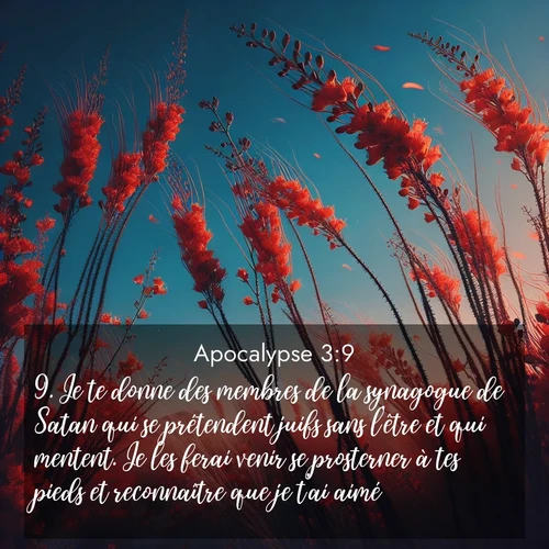 Segond21 Apocalypse  ; image nature: image avec le verset biblique :Je te donne des membres de la synagogue de Satan qui se prétendent juifs sans l&#039;être et qui mentent. Je les ferai venir se prosterner à tes pieds et reconnaître que je t&#039;ai aimé. ;  ; 3:9