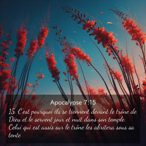 Segond21 Apocalypse  ; image nature: image avec le verset biblique :C&#039;est pourquoi ils se tiennent devant le trône de Dieu et le servent jour et nuit dans son temple. Celui qui est assis sur le trône les abritera sous sa tente. ;  ; 7:15