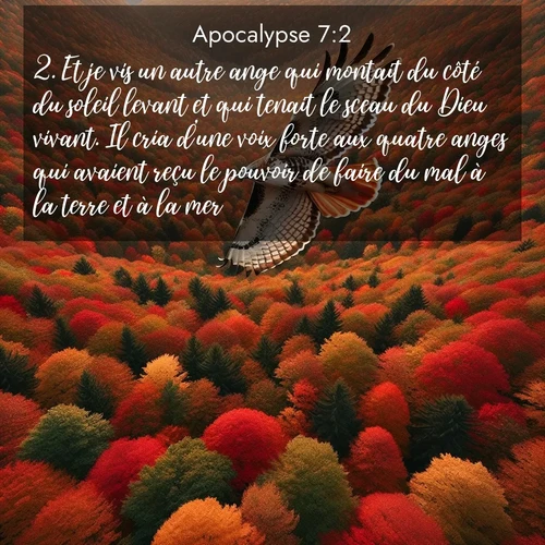 Segond21 Apocalypse  ; image nature: image avec le verset biblique :Et je vis un autre ange qui montait du côté du soleil levant et qui tenait le sceau du Dieu vivant. Il cria d&#039;une voix forte aux quatre anges qui avaient reçu le pouvoir de faire du mal à la terre et à la mer: ;  ; 7:2