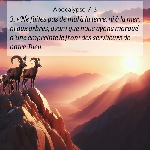 Segond21 Apocalypse  ; image nature: image avec le verset biblique :«Ne faites pas de mal à la terre, ni à la mer, ni aux arbres, avant que nous ayons marqué d&#039;une empreinte le front des serviteurs de notre Dieu.» ;  ; 7:3
