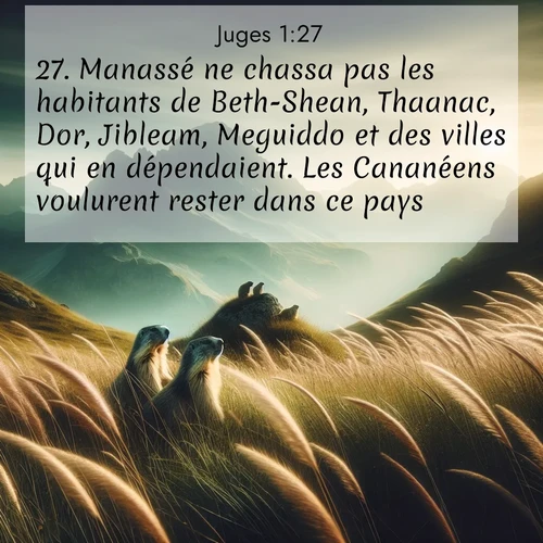 Segond21 Juges  ; image nature: image avec le verset biblique :Manassé ne chassa pas les habitants de Beth-Shean, Thaanac, Dor, Jibleam, Meguiddo et des villes qui en dépendaient. Les Cananéens voulurent rester dans ce pays. ;  ; 1:27