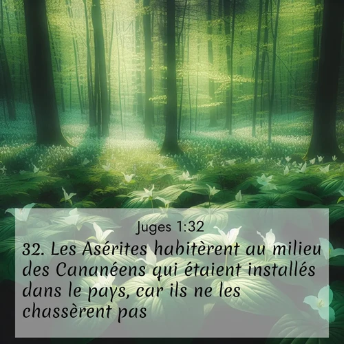 Segond21 Juges  ; image nature: image avec le verset biblique :Les Asérites habitèrent au milieu des Cananéens qui étaient installés dans le pays, car ils ne les chassèrent pas. ;  ; 1:32