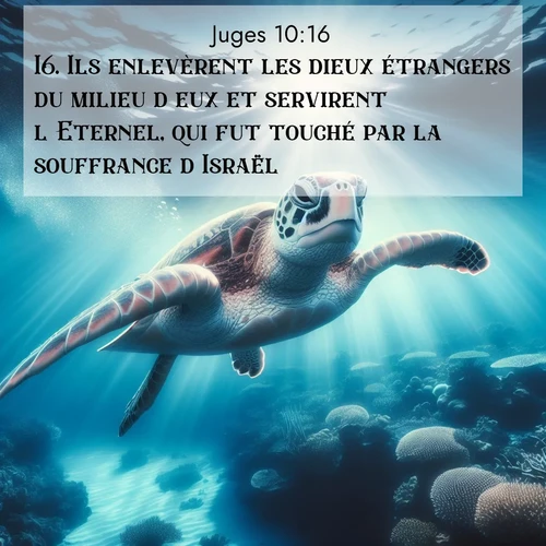 Segond21 Juges  ; image nature: image avec le verset biblique :Ils enlevèrent les dieux étrangers du milieu d&#039;eux et servirent l&#039;Eternel, qui fut touché par la souffrance d&#039;Israël. ;  ; 10:16