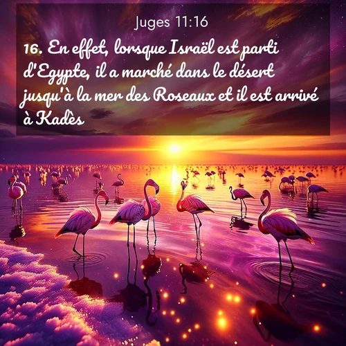 Segond21 Juges  ; image nature: image avec le verset biblique :En effet, lorsque Israël est parti d&#039;Egypte, il a marché dans le désert jusqu&#039;à la mer des Roseaux et il est arrivé à Kadès. ;  ; 11:16