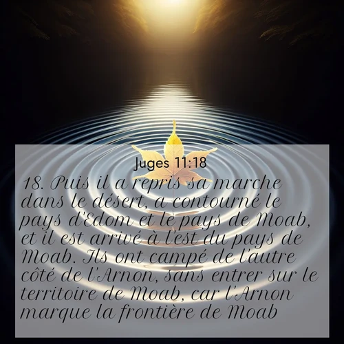 Segond21 Juges  ; image nature: image avec le verset biblique :Puis il a repris sa marche dans le désert, a contourné le pays d&#039;Edom et le pays de Moab, et il est arrivé à l&#039;est du pays de Moab. Ils ont campé de l&#039;autre côté de l&#039;Arnon, sans entrer sur le territoire de Moab, car l&#039;Arnon marque la frontière de Moab. ;  ; 11:18